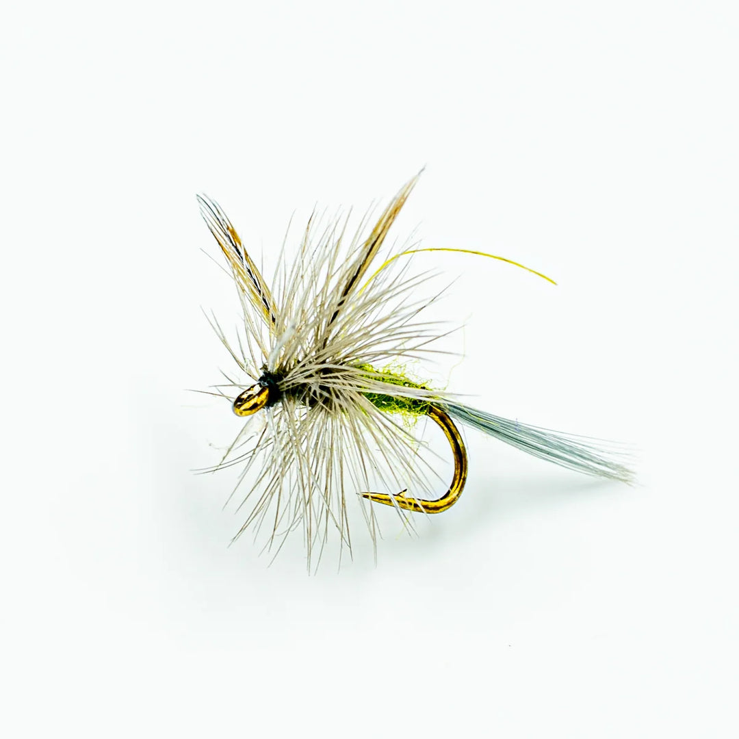 Blue-Winged Olive (BWO)