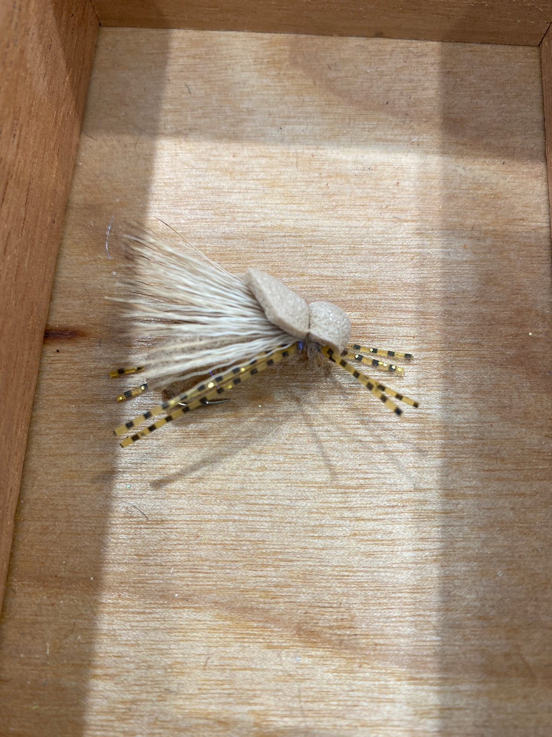 Llano Bug