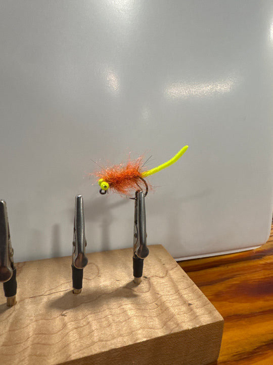 Carp Nugget