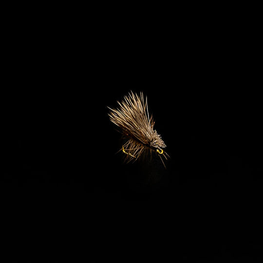 Elk Hair Caddis