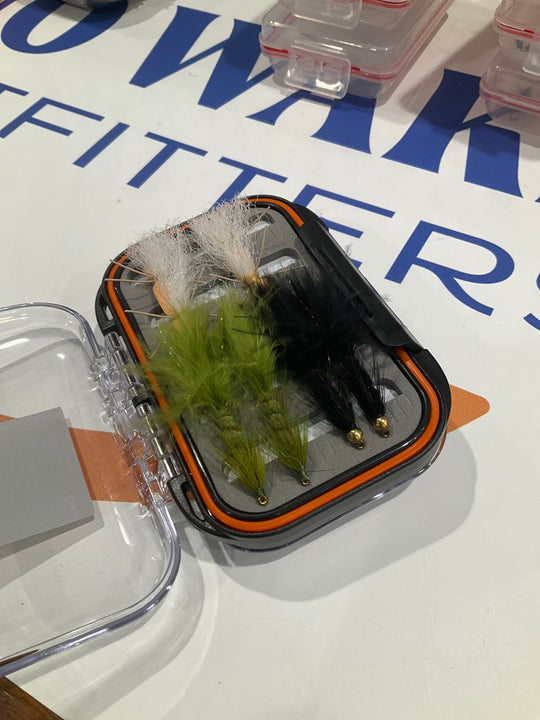 Curated Trout Fly Box (26)