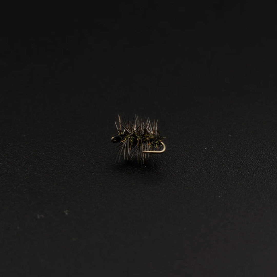 Griffith’s Gnat