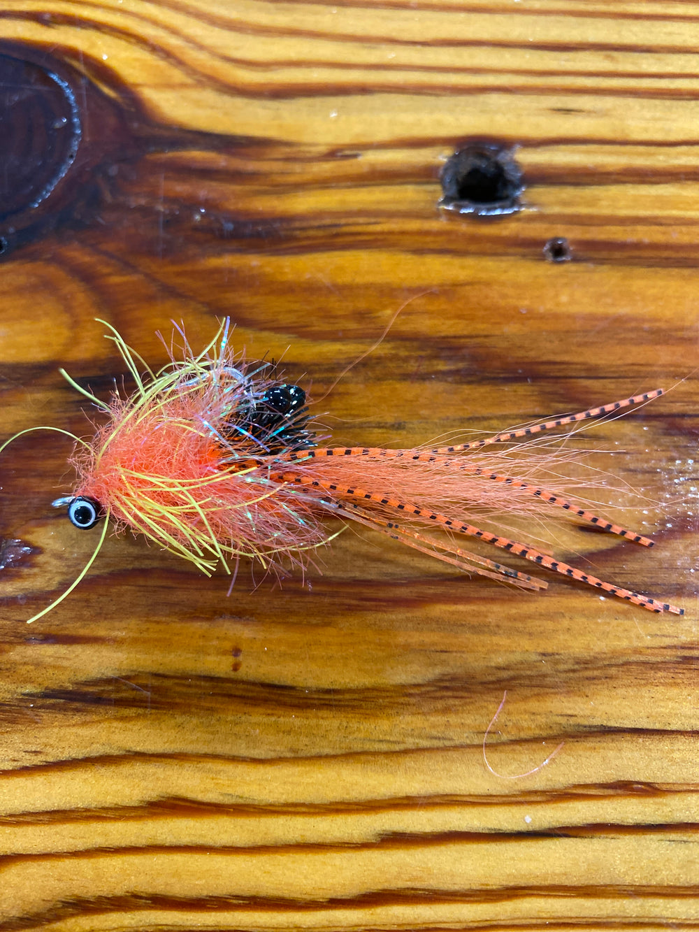 Legtastic Critter Orange