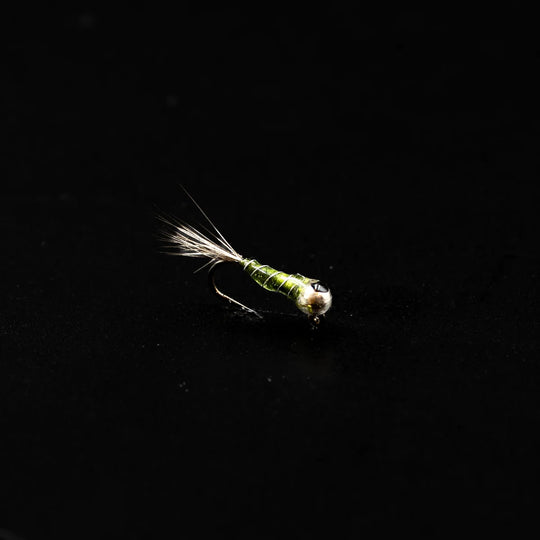 Perdigon Nymph #18