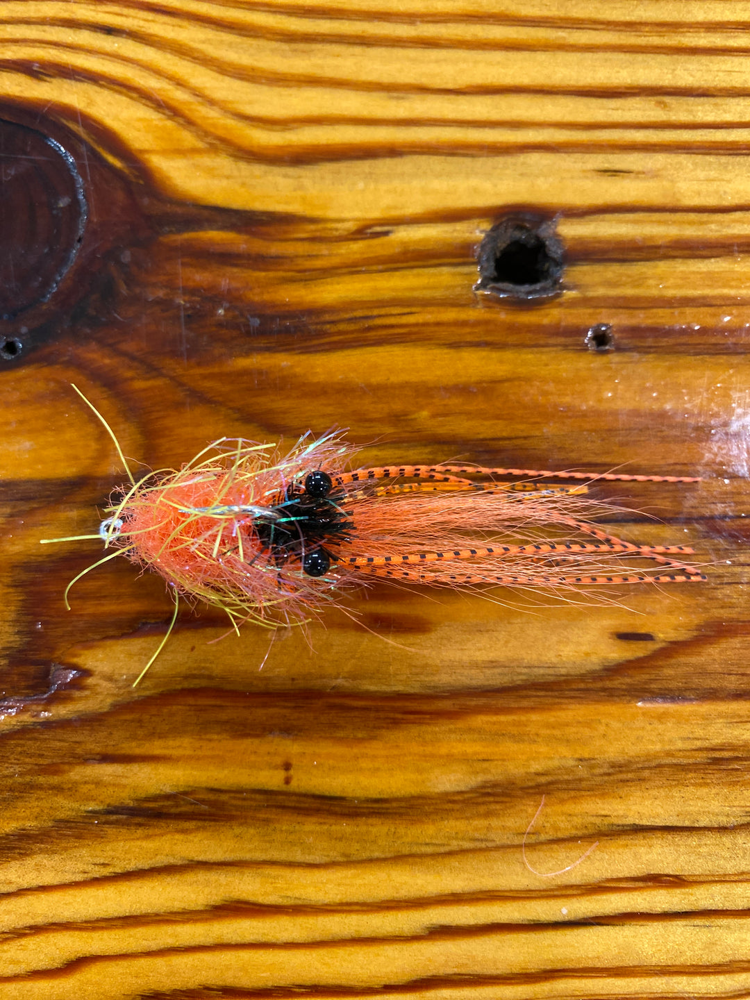 Legtastic Critter Orange