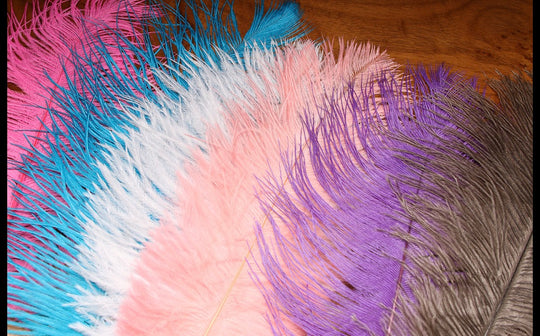 UV2 Ostrich Plume
