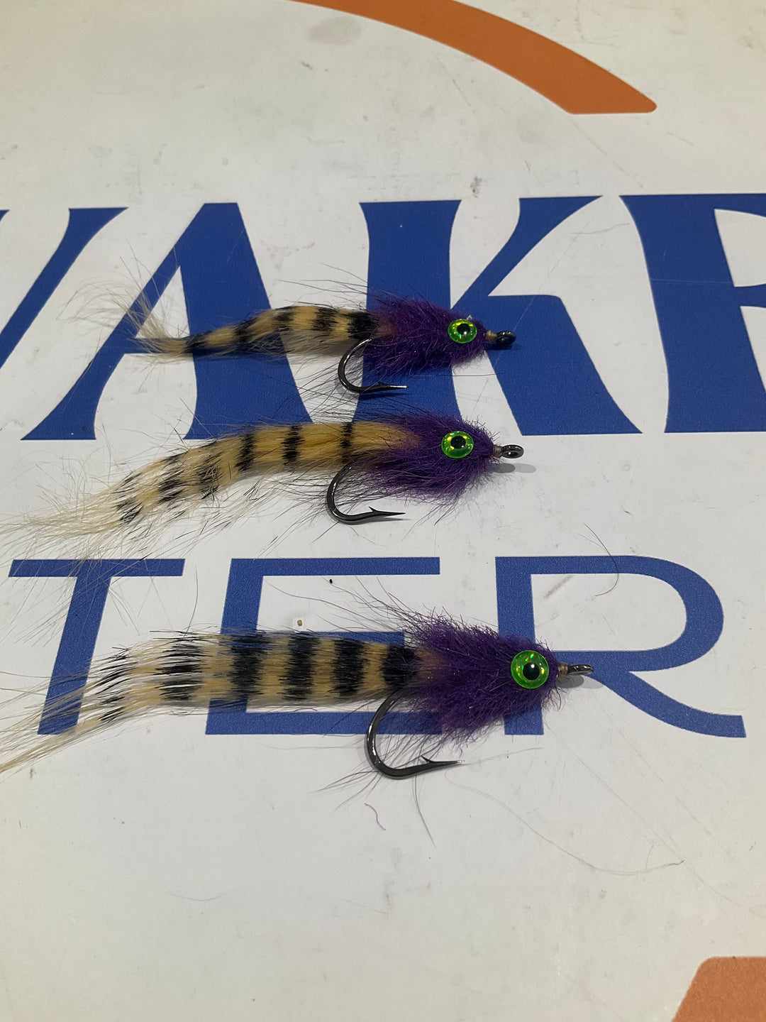 Tiger Mullet