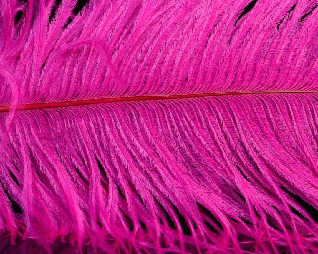 UV2 Ostrich Plume